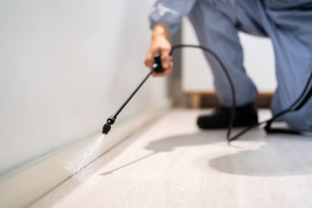 Professional exterminator conducting IPM assessment in Hagerman