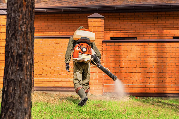 Bed Bug Clearance Verification and Documentation in Hagerman
